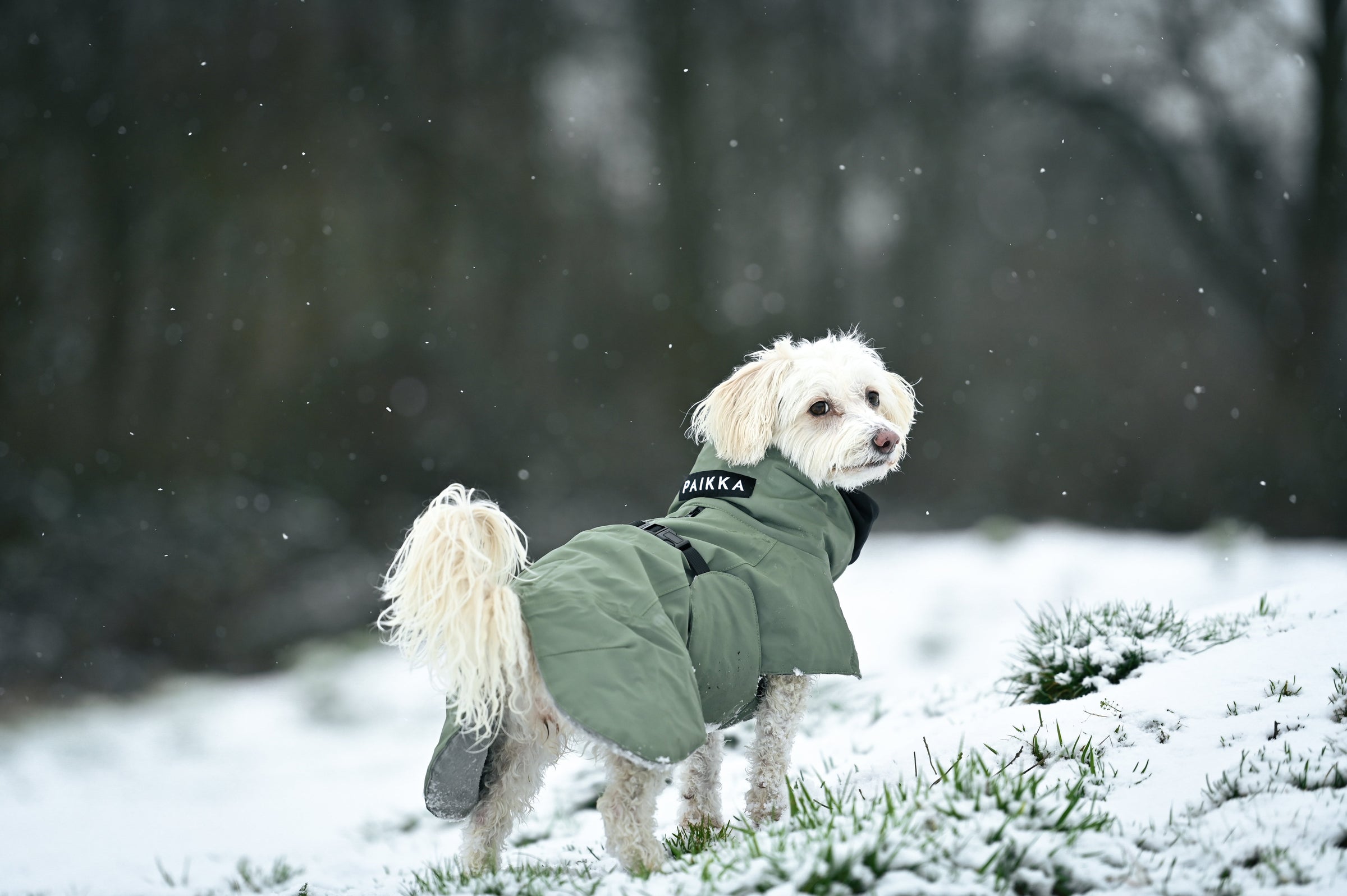 Winter- & Wärmemäntel