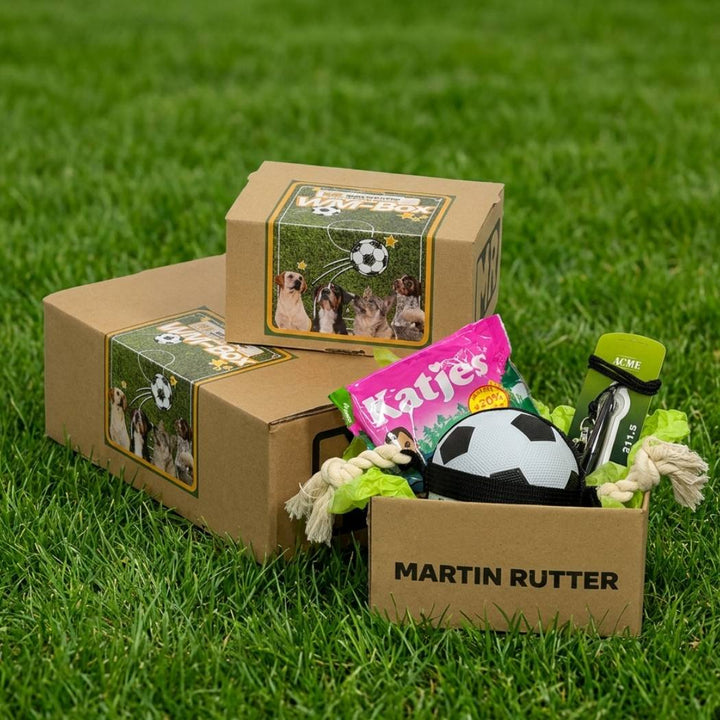 WM-Box Premium