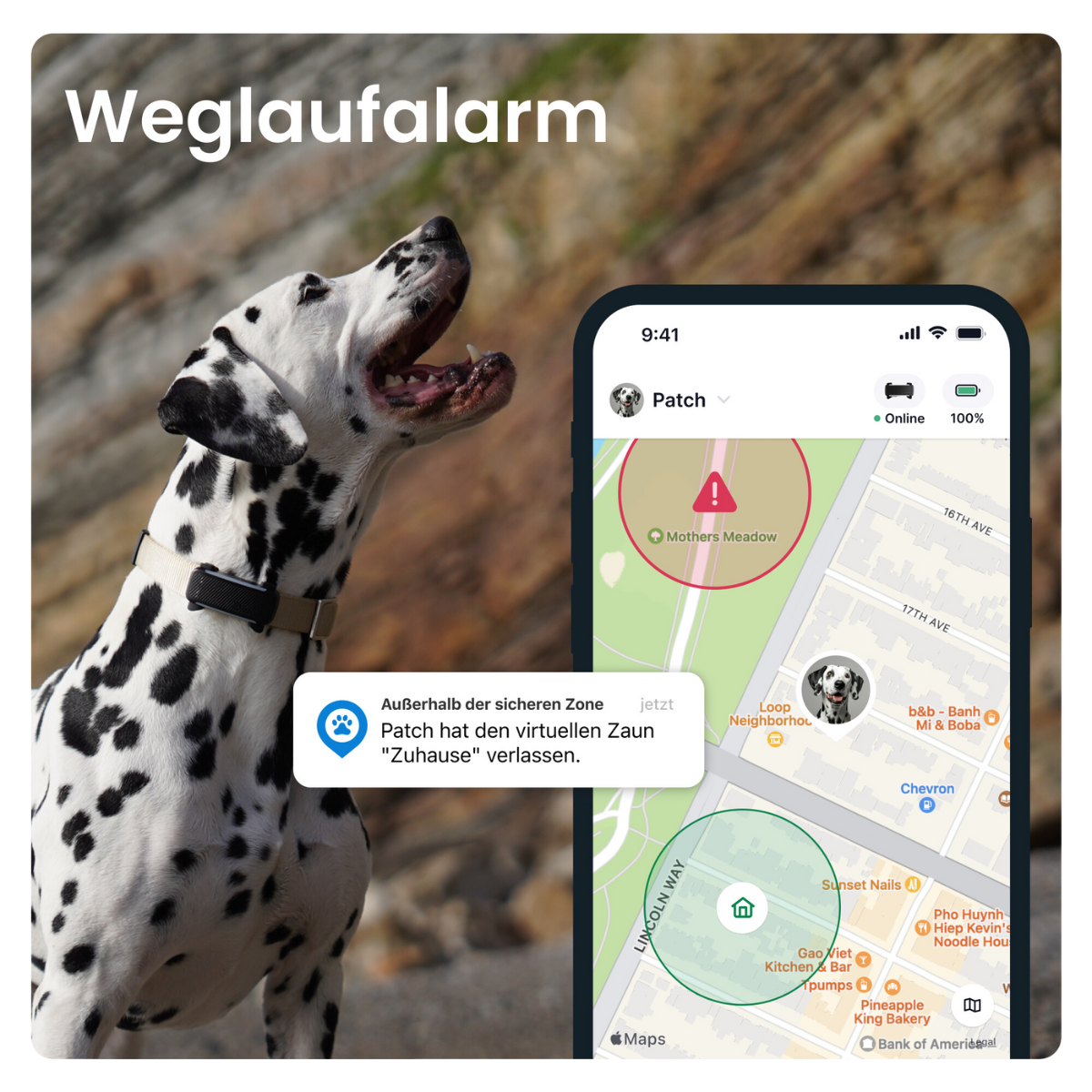 GPS Tracker TRACTIVE DOG 6