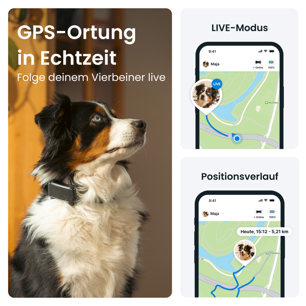 GPS Tracker TRACTIVE DOG 6