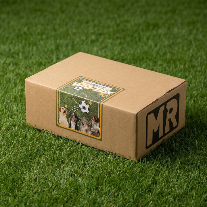 WM-Box Premium