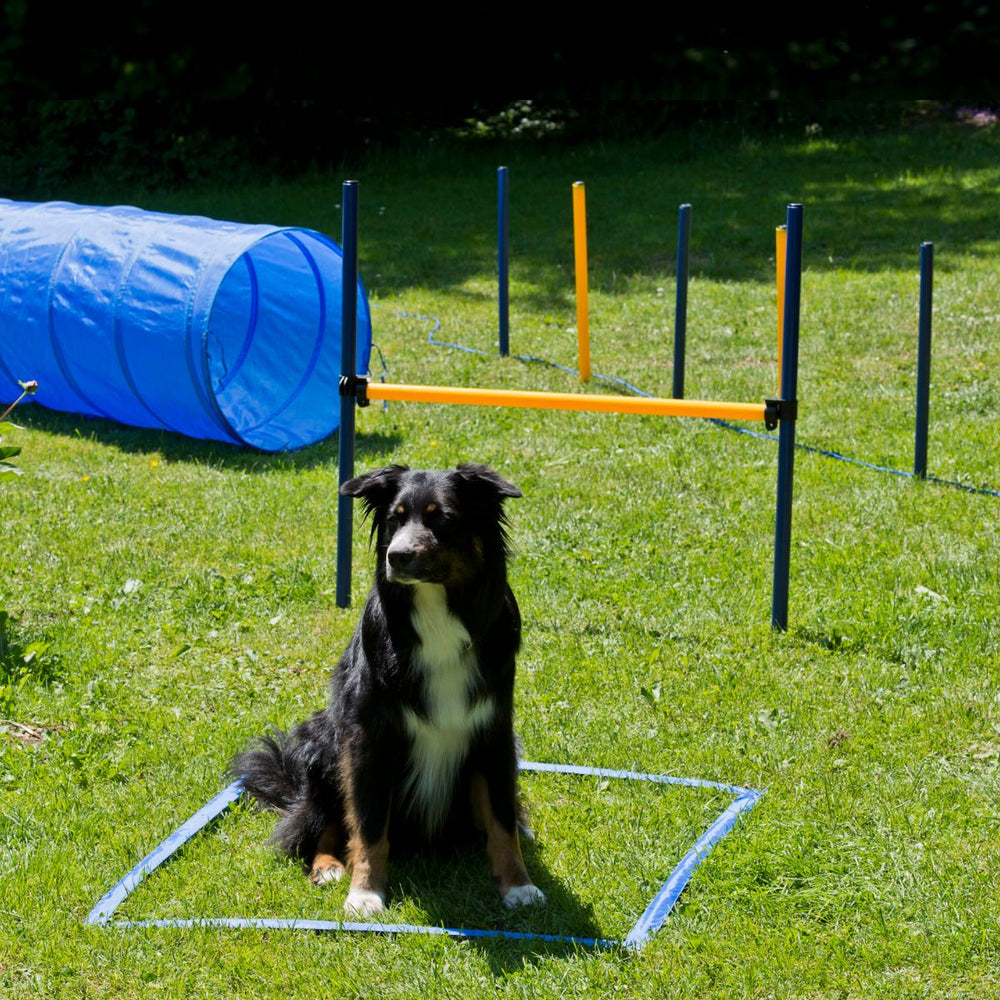 Agility Trainingsset für Hunde - Starter Set 9-teilig