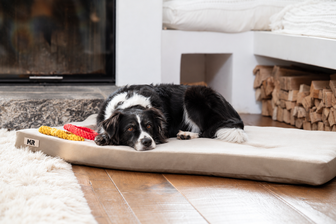 Orthopädische Hundematratze mit Fleece
