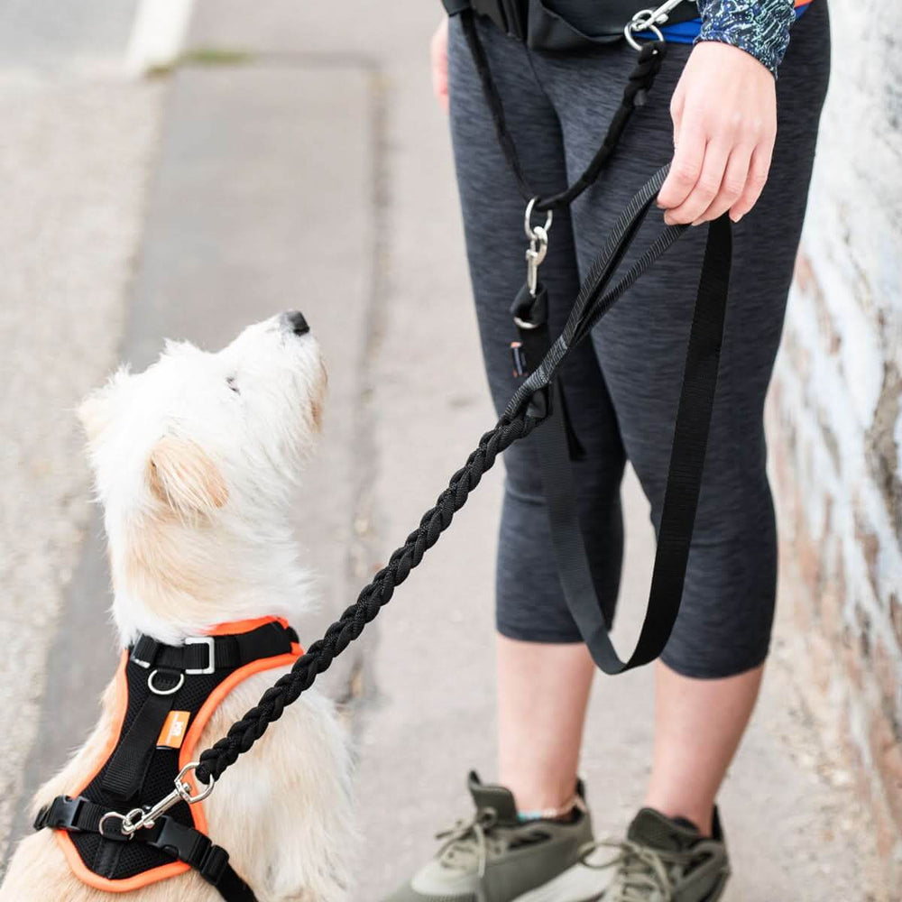 Jogging Hundeleine PROFIRUN - flexible Leine mit Elastik-Dämpfer