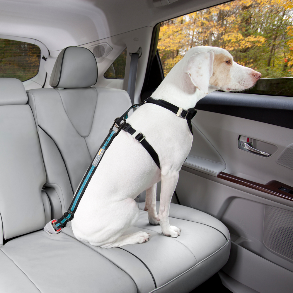 38-95cm Wuglo Hundegurt fürs Auto - Hunde Anschnallgurt mit elastischem Gurt  - Haltbarer & sicherer Auto Sicherheitsgurt Clip -  Universal-Hundeanschnaller (Grau) : : Haustier
