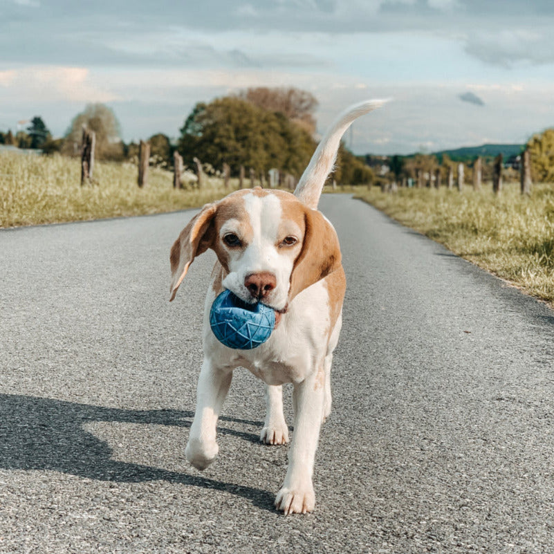 Hundeball MOBY - dynamischer Spielball - wahlweise mit Wurfgriff