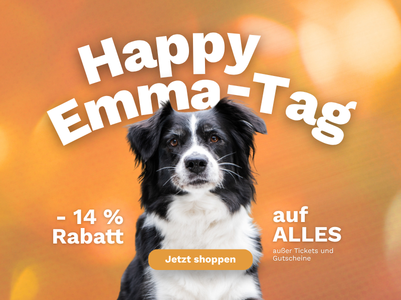 größte Rabattaktion des Jahres_ Rabatt 14% auf Alles_Martin Rütter Hundeprofi Shop