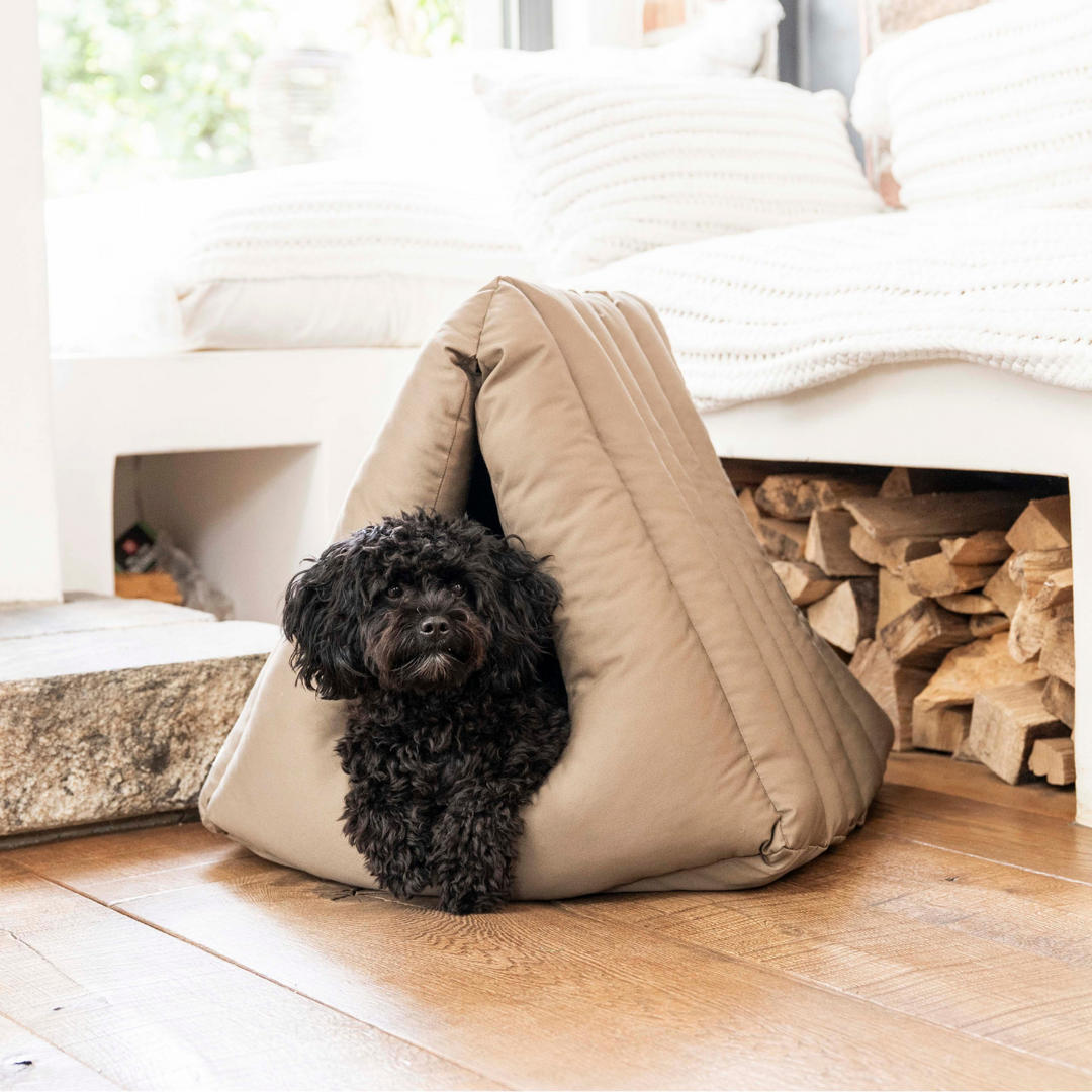 Hundehöhle Premium von Martin Rütter, dem Hundeprofi, geräuschunterdrückend, beige, waschbar und trocknergeeignet, eine gemütliche Höhle für kleine Hunde