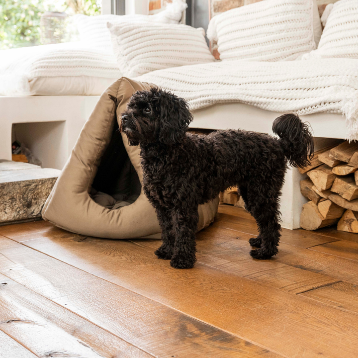 Hundehöhle Premium von Martin Rütter, dem Hundeprofi, geräuschunterdrückend, beige, waschbar und trocknergeeignet, eine gemütliche Höhle für kleine Hunde mit rausnehmbarem Kissen mit schwarzem Hund Erna