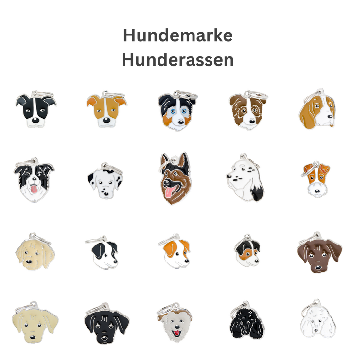 Hundemarke personalisiert Hunderassen - Bild 2 (Martin Rütter Shop)