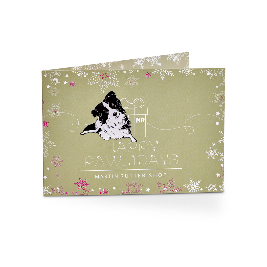 Geschenkgutschein "Happy Pawlidays" in der Variante 250€ (Martin Rütter Shop)