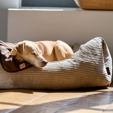 Hundebett COZYCORD - mit Wendekissen und wasserabweisendem Innenbezug - Bild 2 (Martin Rütter Shop)