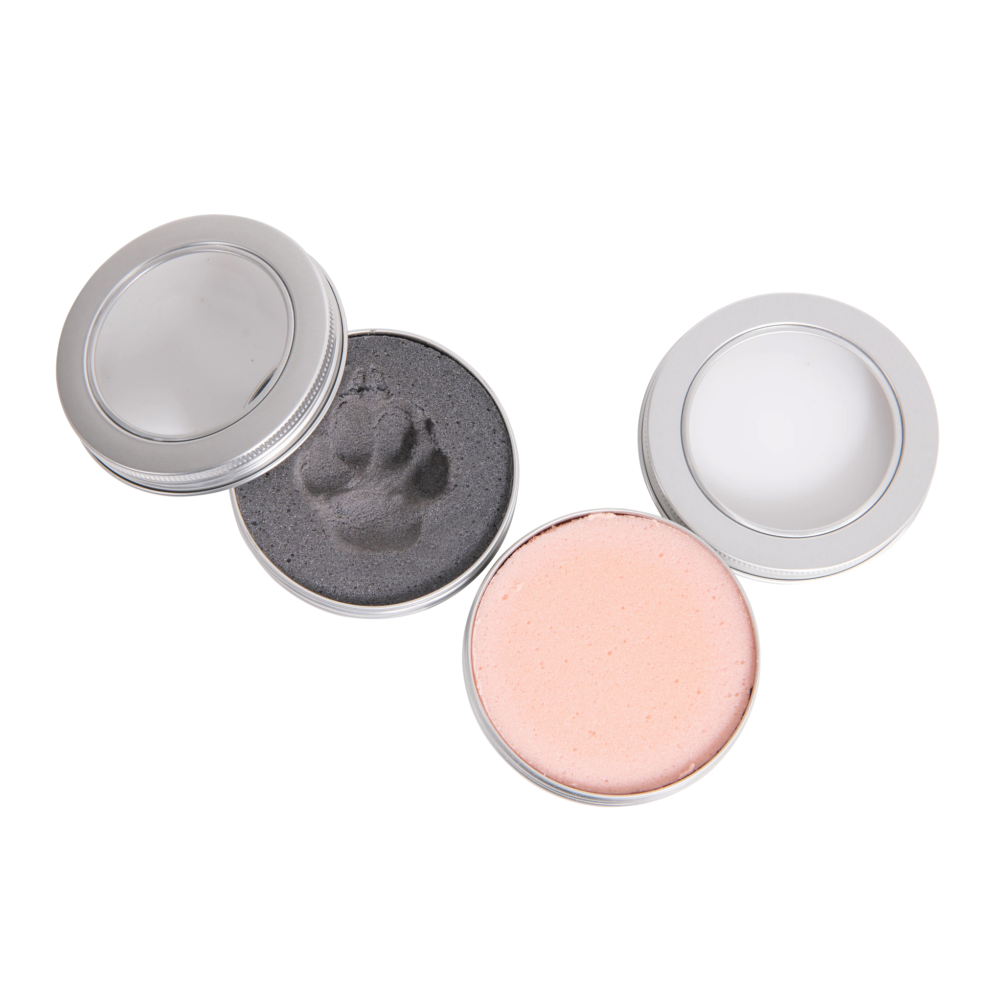 Pfotenabdruck Formschaum Sichtdose - Bild 4 (Martin Rütter Shop)