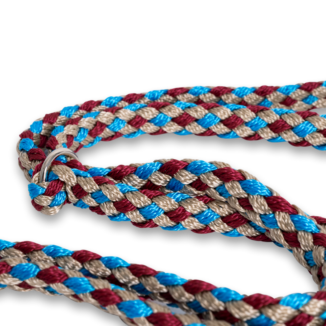 Buckle-Down Hundeleine Mit Rosen-Muster – 1,2 M Lang, 2,5 Cm Breit, Aus Robustem Polyester, Türkis