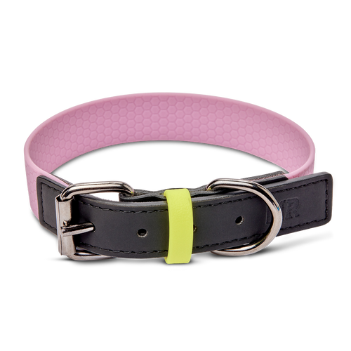 Hundehalsband mit veganem Apfelleder Altrosa in der Variante Altrosa / XL (Martin Rütter Shop)