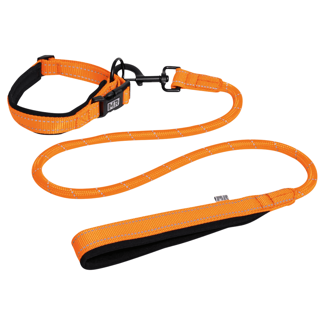 Kombi-Set Halsband und Leine gepolstert in der Variante Orange / M (Martin Rütter Shop)