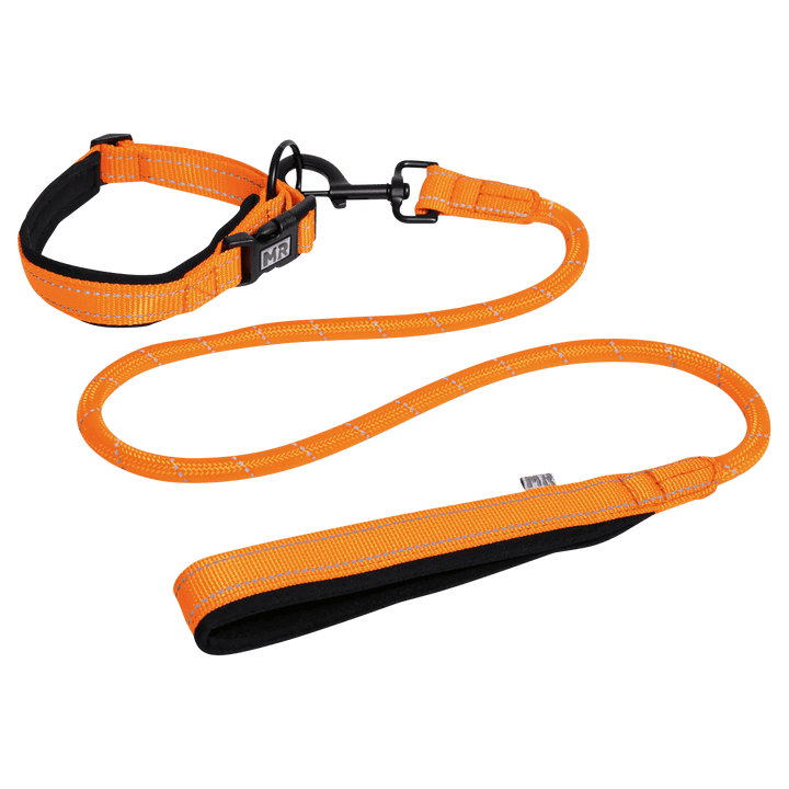 Kombi-Set Halsband und Leine gepolstert in der Variante Orange / L (Martin Rütter Shop)