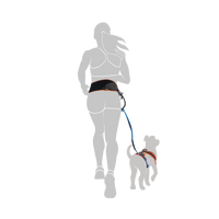 Darstellung einer Frau, die beim Laufen den Jogginggurt PROFIRUN trägt woran ein Hund mit der Joggingleine befestigt ist