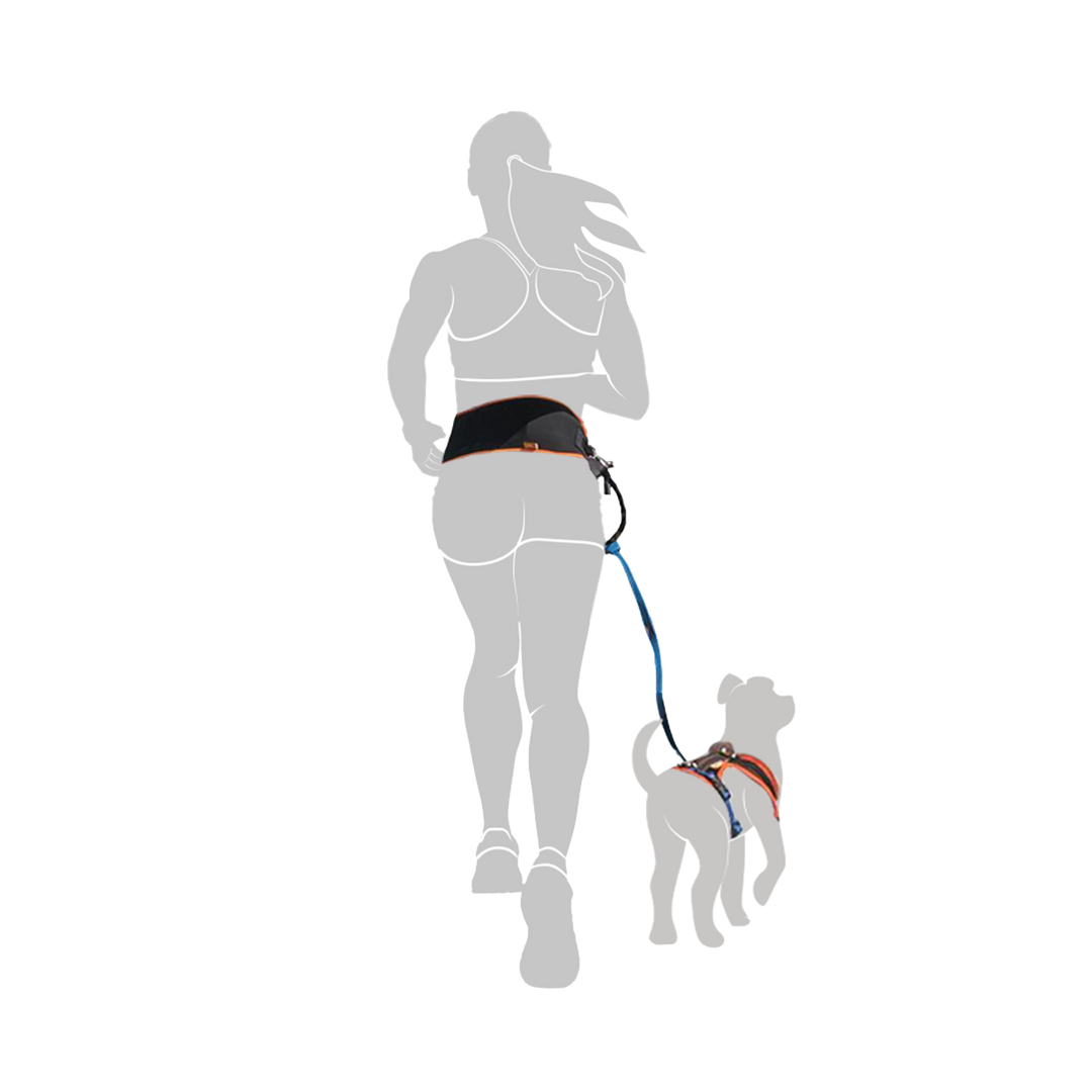Darstellung einer Frau, die mit ihrem Hund gemeinsam joggt und dabei den Jogginggurt PROFIRUN trägt