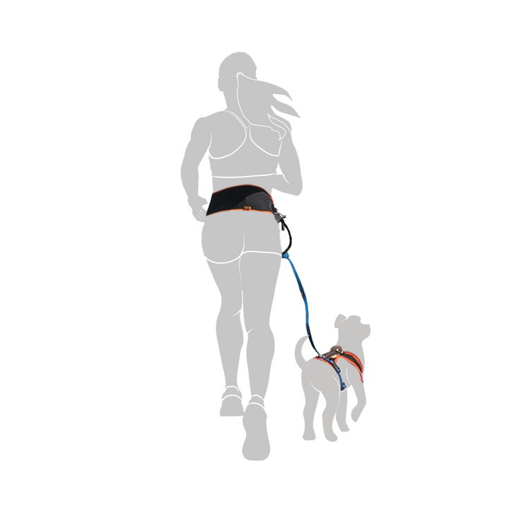 Darstellung einer Frau, die mit ihrem Hund gemeinsam joggt und dabei den Jogginggurt PROFIRUN trägt