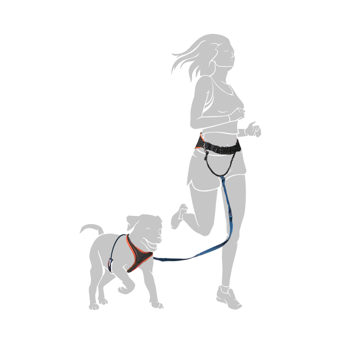 Darstellung einer Frau, die mit ihrem Hund gemeinsam joggt und dabei den Jogginggurt PROFIRUN trägt