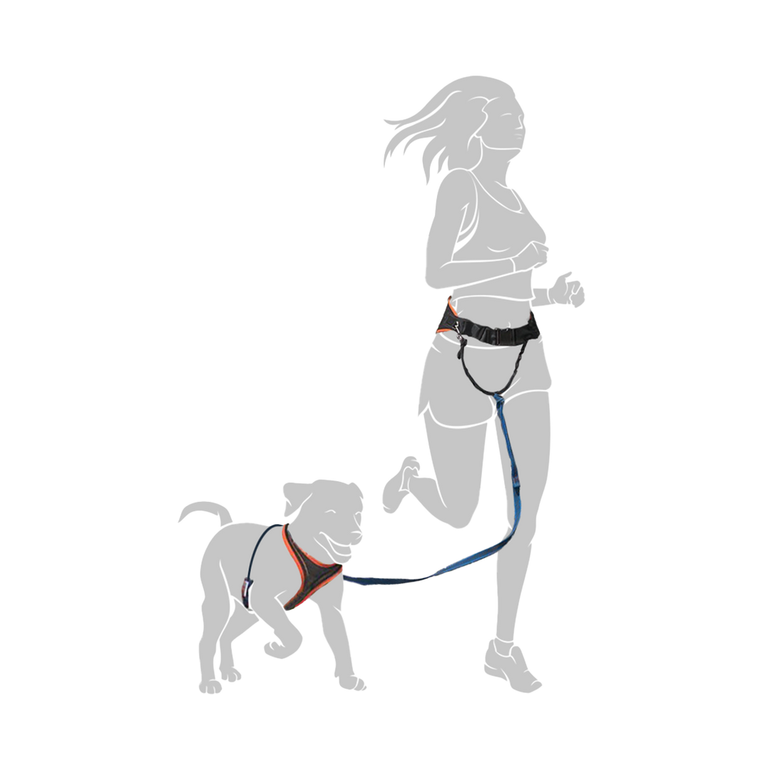 Darstellung einer Frau, die mit ihrem Hund gemeinsam joggt und dabei den Jogginggurt PROFIRUN trägt