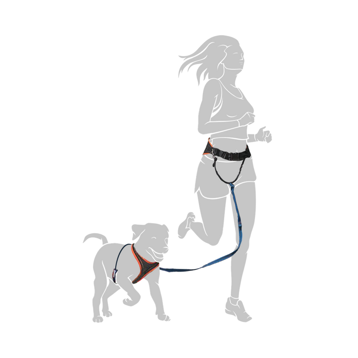 Darstellung einer Frau, die mit ihrem Hund gemeinsam joggt und dabei den Jogginggurt PROFIRUN trägt