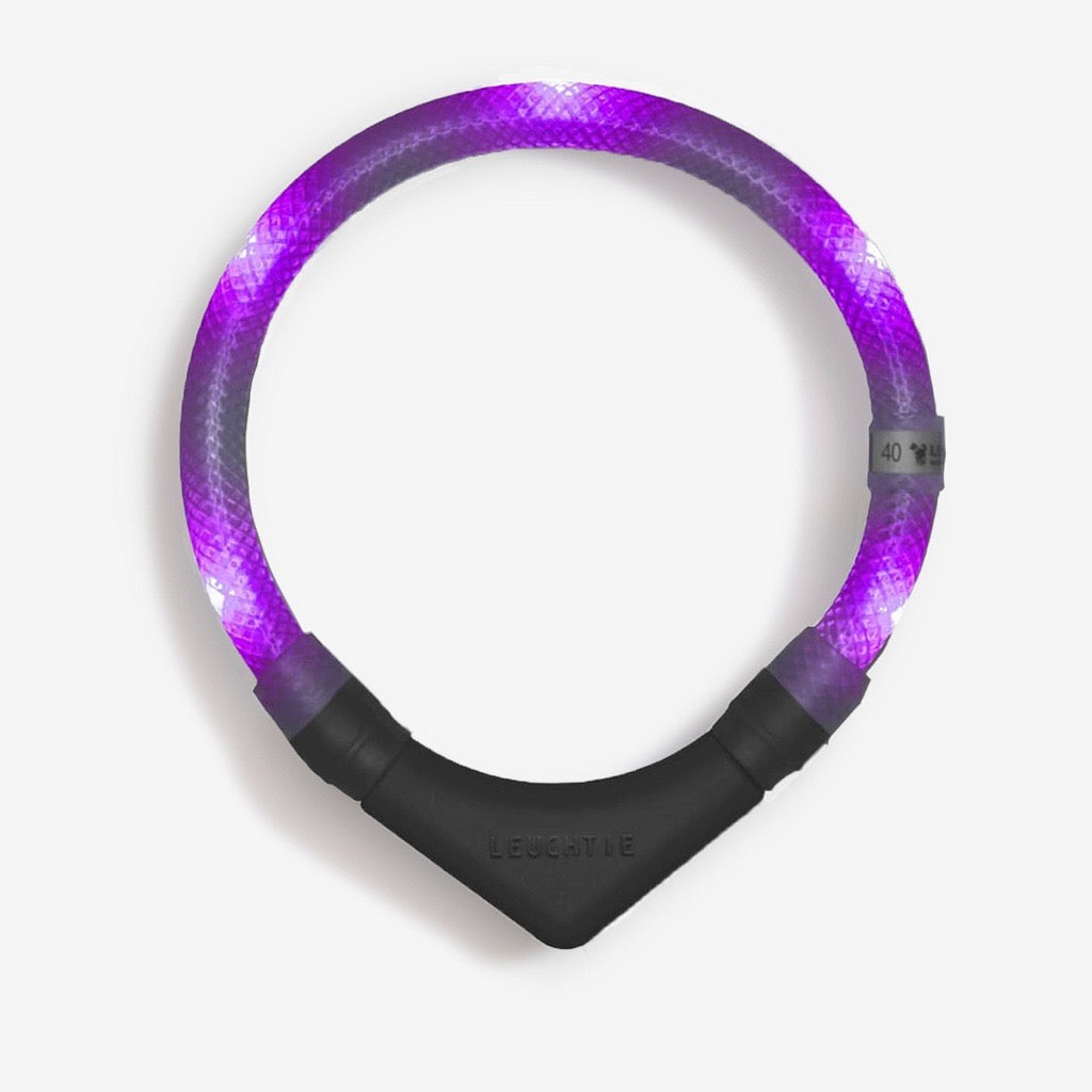 Halsband LEUCHTIE PLUS - mit 5 LEDs – in der Farbe Lavendel mit Batterieteil für Hunde mit einem Kopfumfang von 40 cm 