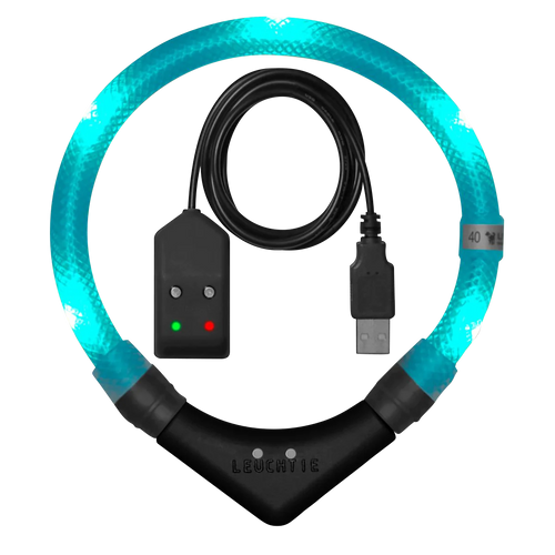 Hundehalsband aufladbar Leuchtie® Premium Türkis in der Variante Türkis / 50 cm (Martin Rütter Shop)