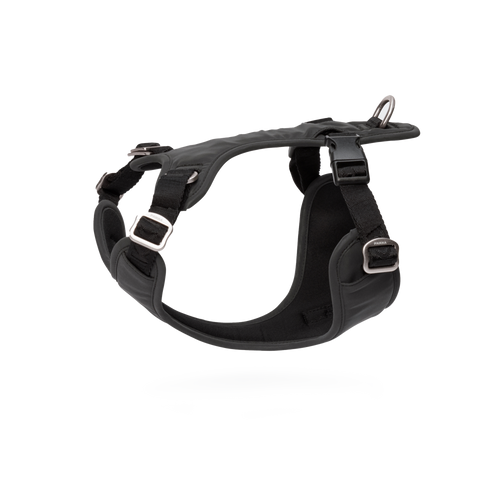 Paikka Visibility Harness vollreflektierendes Hundegeschirr unbeleuchtet und freigestellt
