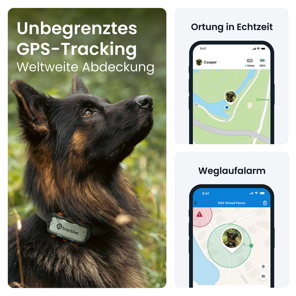 Den Hund immer im Blick: der Tractive GPS Tracker im Test - isle of dogs
