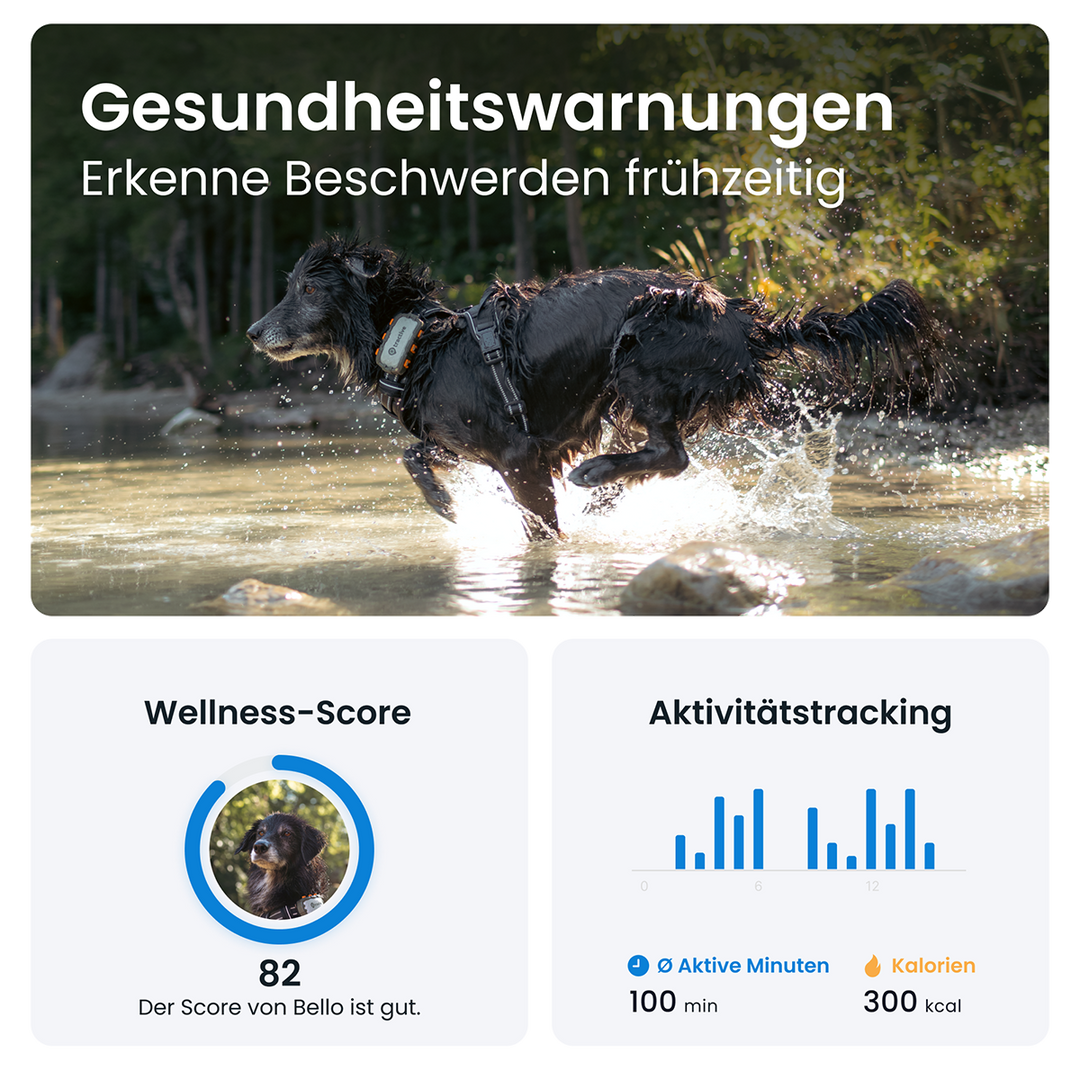 GPS Tracker Tractive Dog XL Adventure - Bild 5 (Martin Rütter Shop)