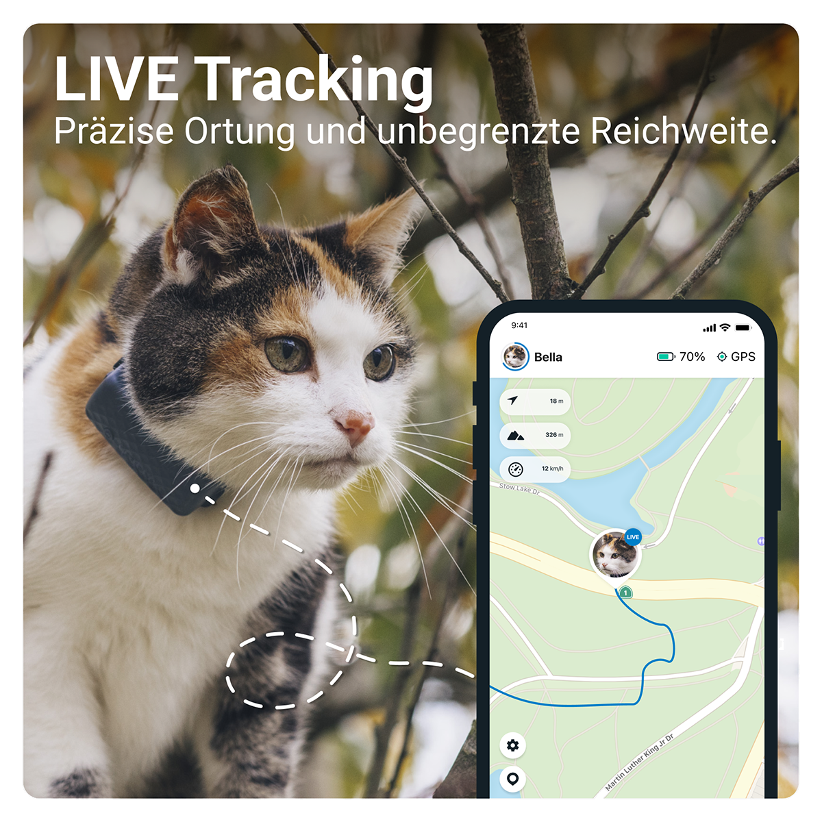 Tractive GPS-Tracker für Katzen - Erziehungshalsband
