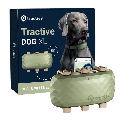 GPS Tracker Tractive Dog XL in der Variante Metallic-Grün (Martin Rütter Shop)