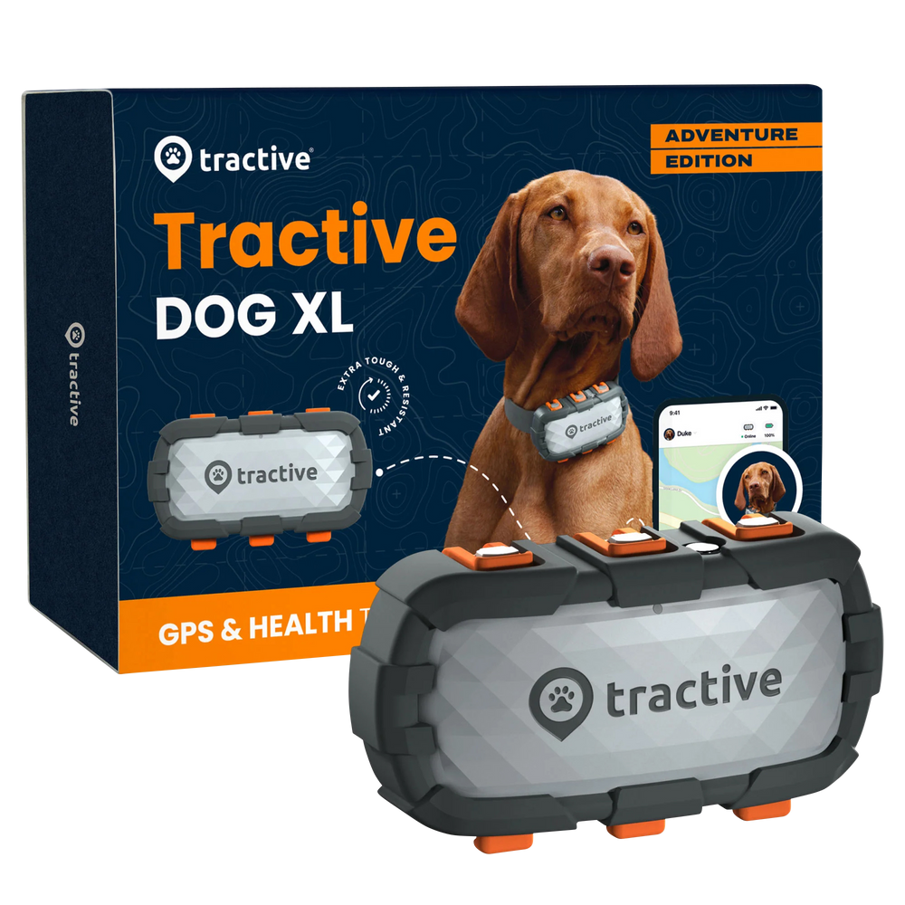 GPS Tracker TRACTIVE DOG XL Adventure Edition