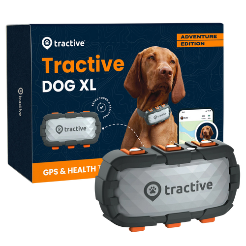 GPS Tracker Tractive Dog XL Adventure in der Variante Metallic-Grau (Martin Rütter Shop)