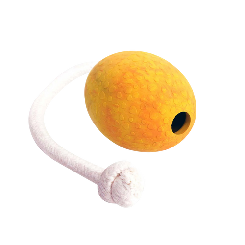 Hunde-Straußenei mit Wurfkordel in der Variante Mango (Martin Rütter Shop)