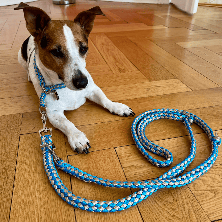 Hundehalsband Tauwerk Türkis-Karamell - Bild 4 (Martin Rütter Shop)