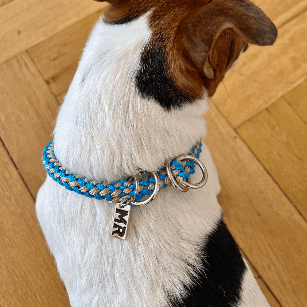 Hundehalsband Tauwerk Türkis-Karamell - Bild 2 (Martin Rütter Shop)
