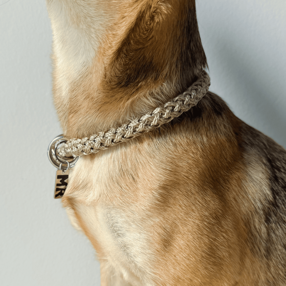 Hundehalsband Tauwerk Karamell - Bild 2 (Martin Rütter Shop)