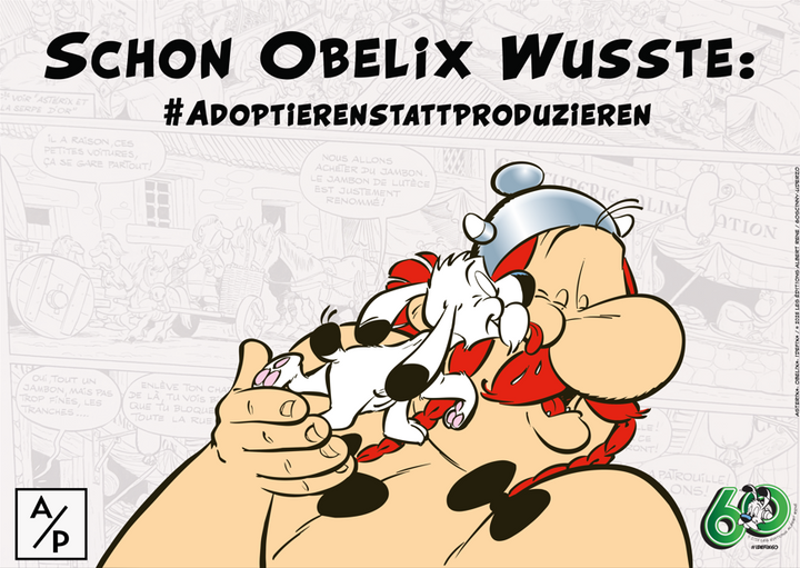 Buch - Asterix in Lusitanien (Ausgabe 41)
