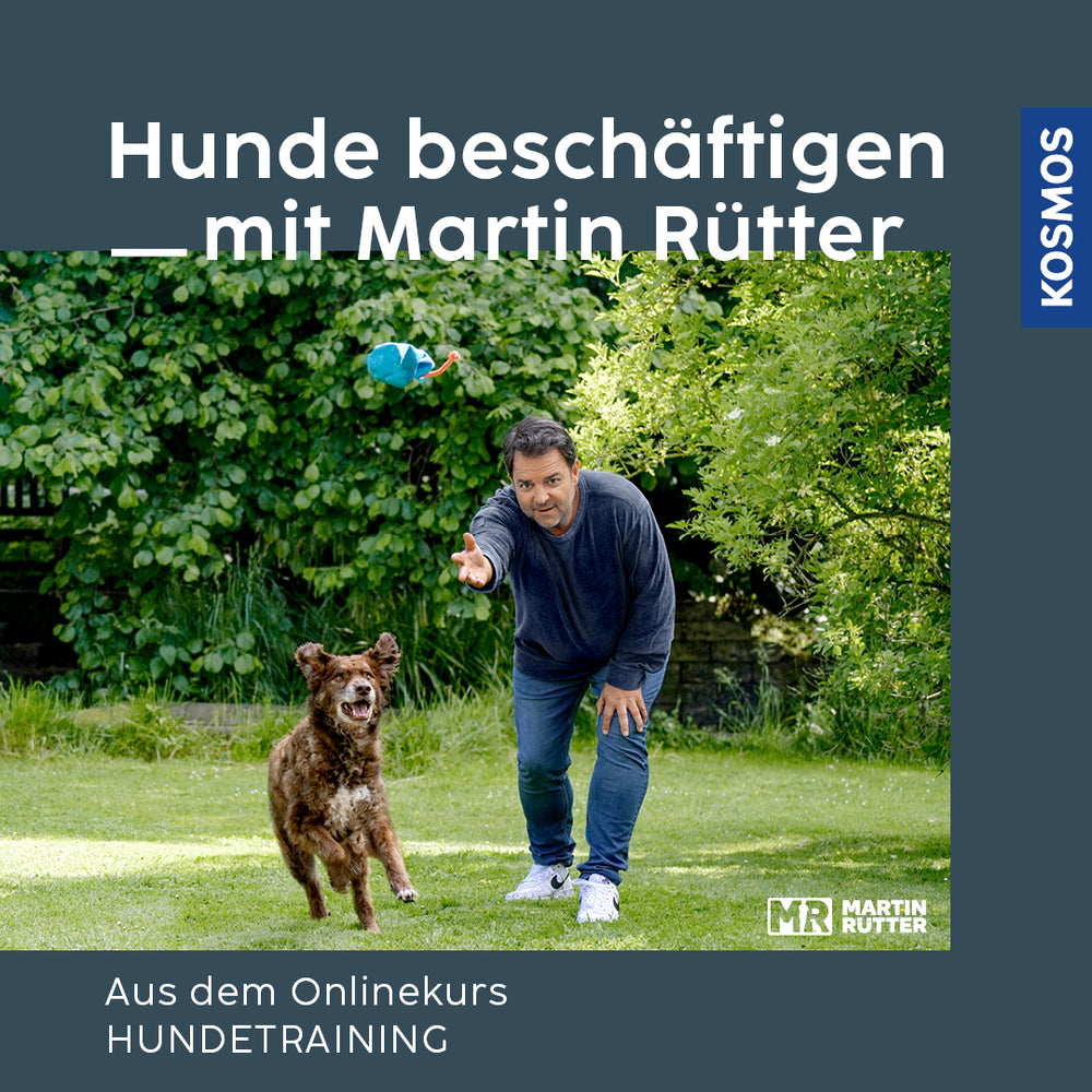 Onlinekurs - HUNDE BESCHÄFTIGEN mit Martin Rütter