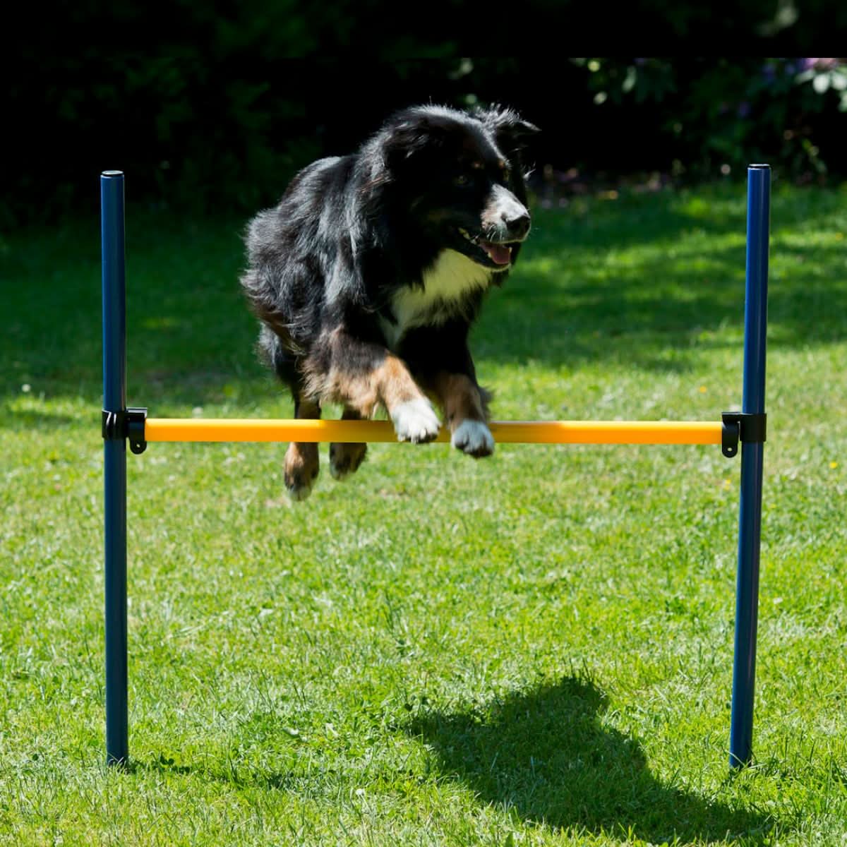 Agility Slalom Set 6 palen | Boss&Dog Agility Slalom Set 6 palen | Boss&Dog