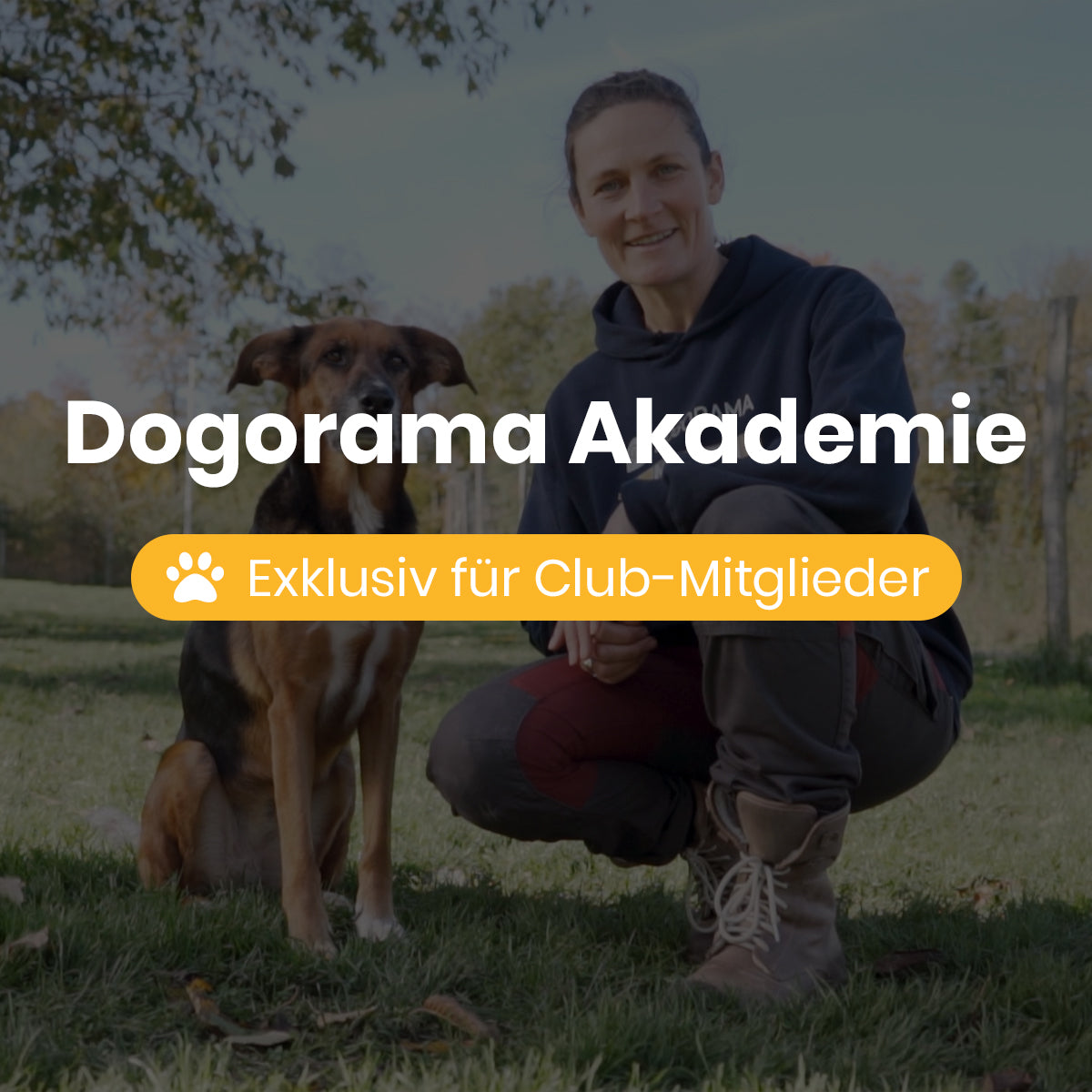 Dogorama Club / Jahres-Mitgliedschaft
