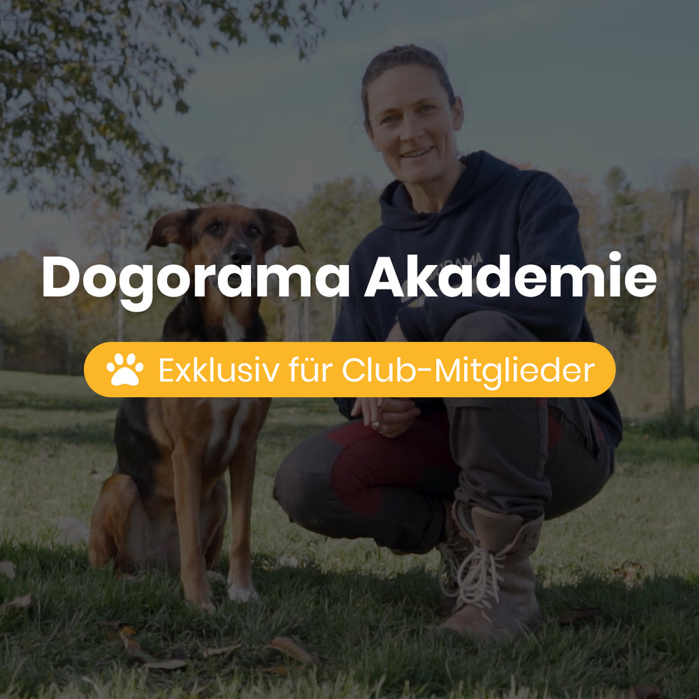 Dogorama Club / Monats-Mitgliedschaft