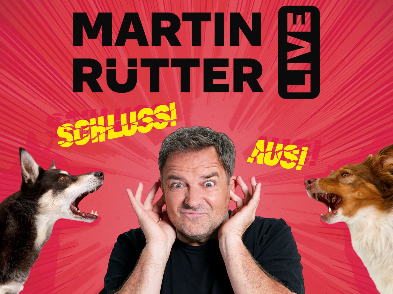 martin-ruetter-Ticket-SCHLUSS! AUS!10.jpg__PID:6de10f55-2331-4390-b375-e4a4a814ab00