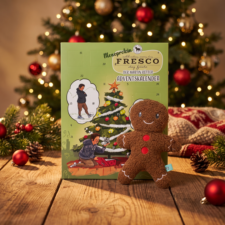 Bundle: Adventskalender "Pferd" & Hundespielzeug Leo Lebkuchenmann