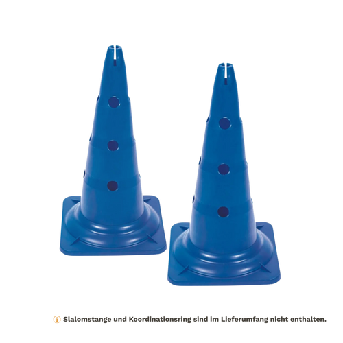 Agility Pylone