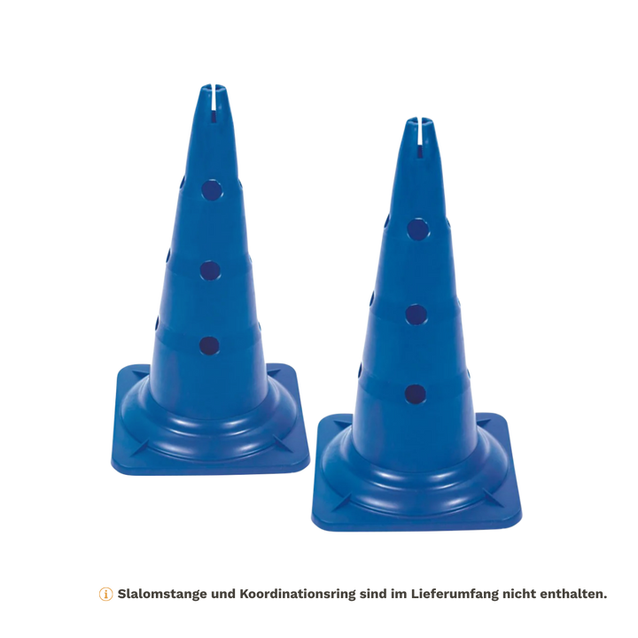 Agility Pylone