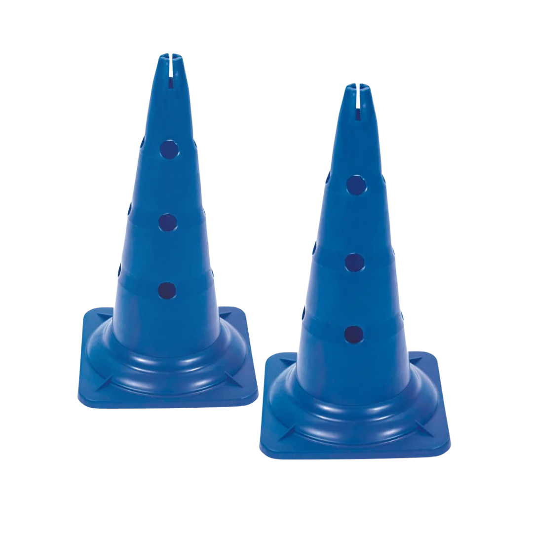 Agility Pylone